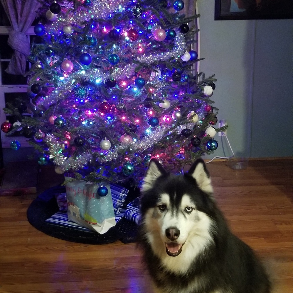 Make me an offer!! Save 10% on 2 or 20% on 3!